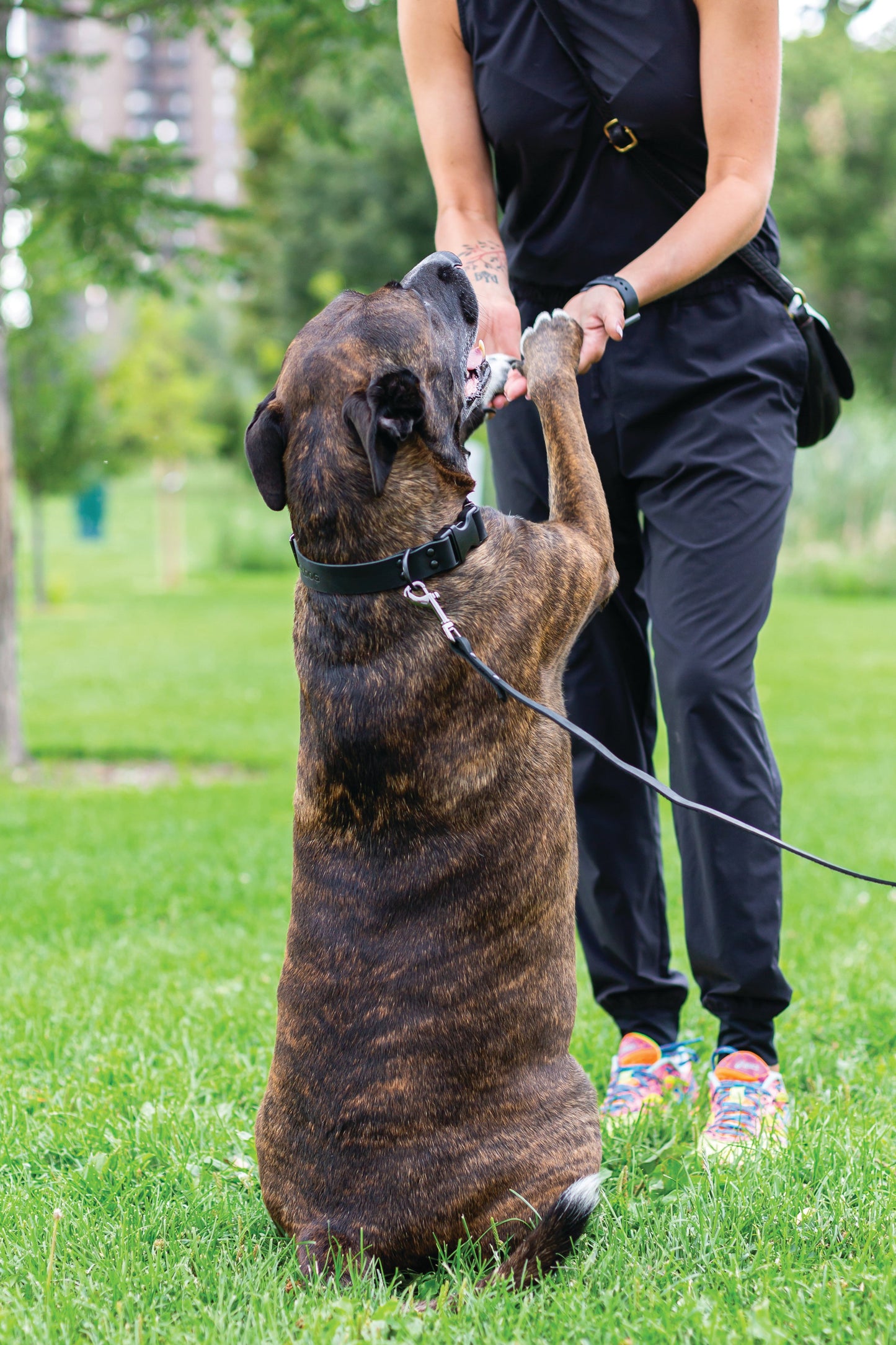 Sport Style Leather Leash