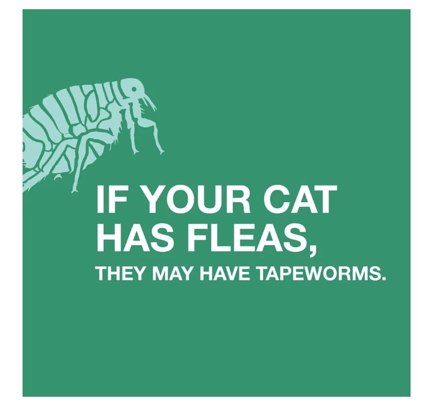 Elanco Tapeworm Dewormer (praziquantel tablets) for Cats and Kittens 6 Weeks and Older, 3-count