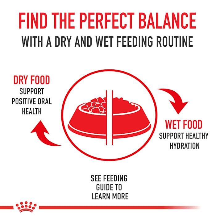 Royal Canin Size Health Nutrition Medium Adult Dry Dog Food, 30 lb bag
