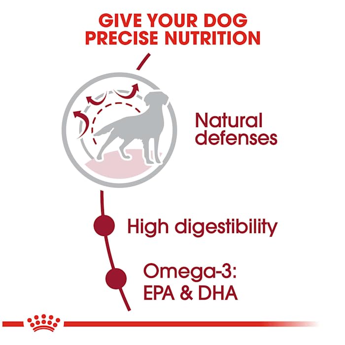 Royal Canin Size Health Nutrition Medium Adult Dry Dog Food, 30 lb bag