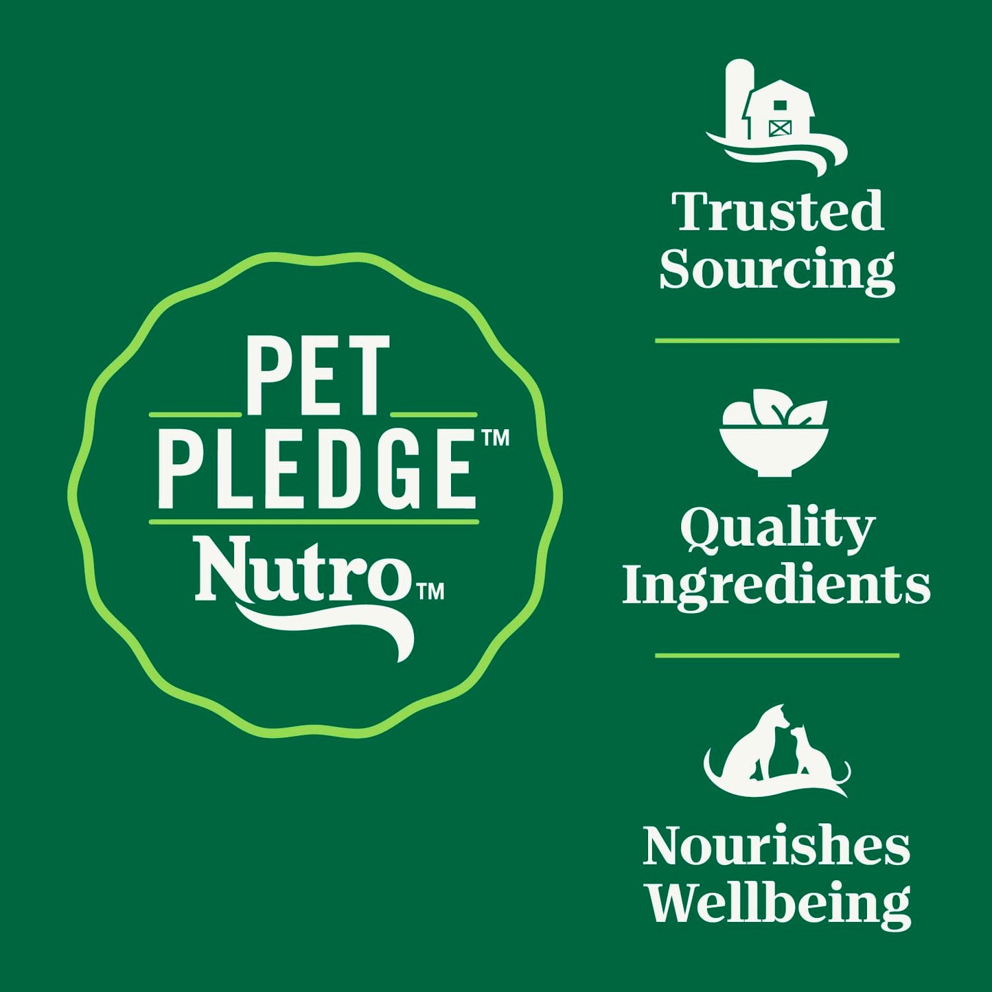 Nutro Wholesome Essentials Indoor Dry Cat Food, Chicken & Brown Rice Recipe, 14 lb. Bag