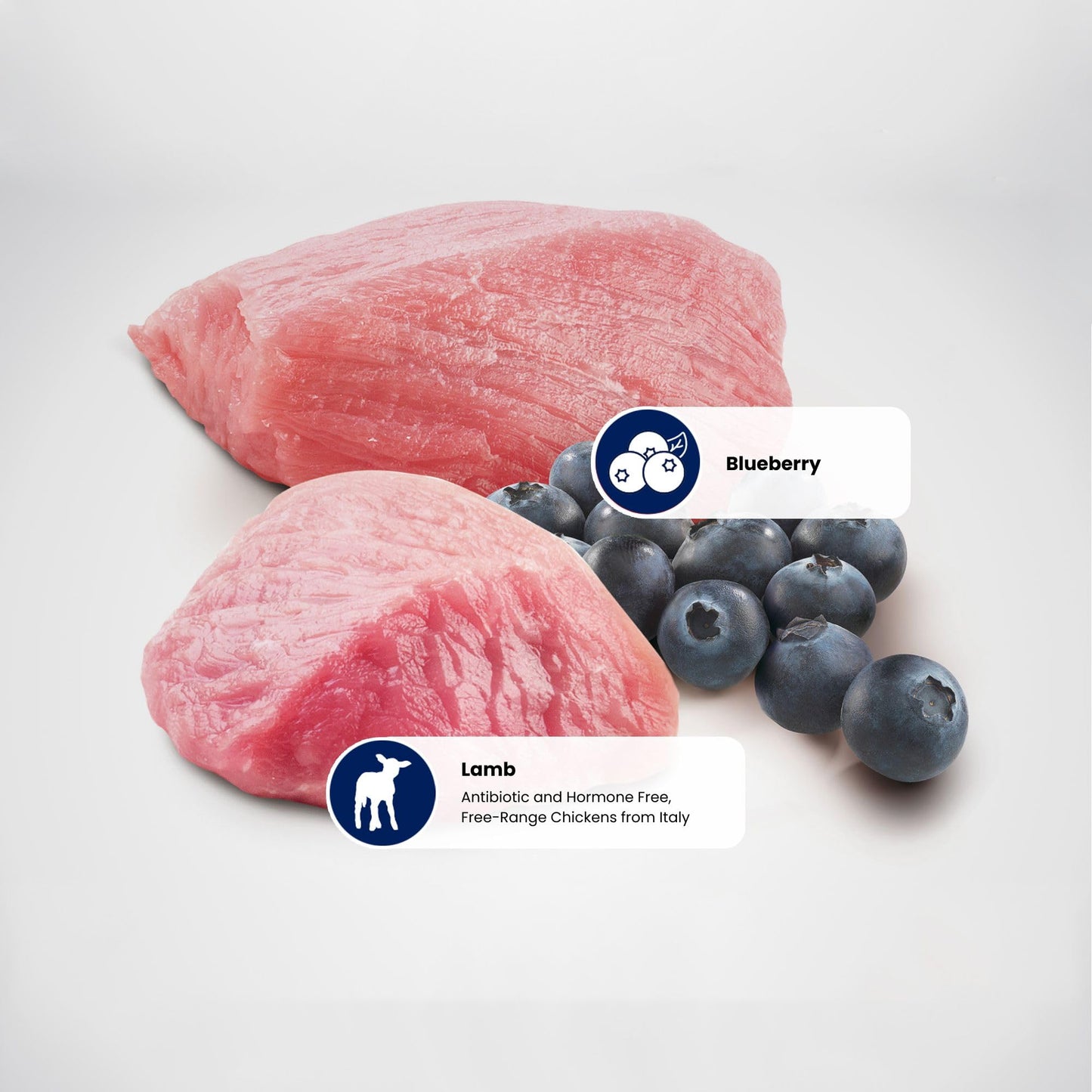Farmina Natural & Delicious Grain Free Lamb and Blueberry Adult Cat, 11 lb bag