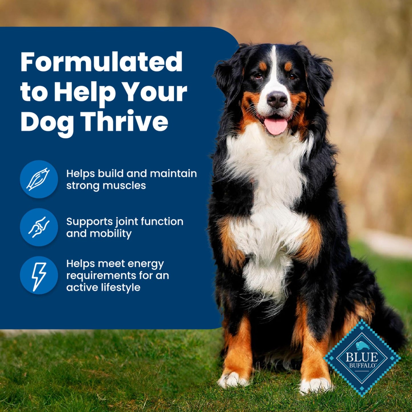 Blue Buffalo Life Protection Formula Natural Adult Dry Dog Food, Chicken and Brown Rice 30-lb