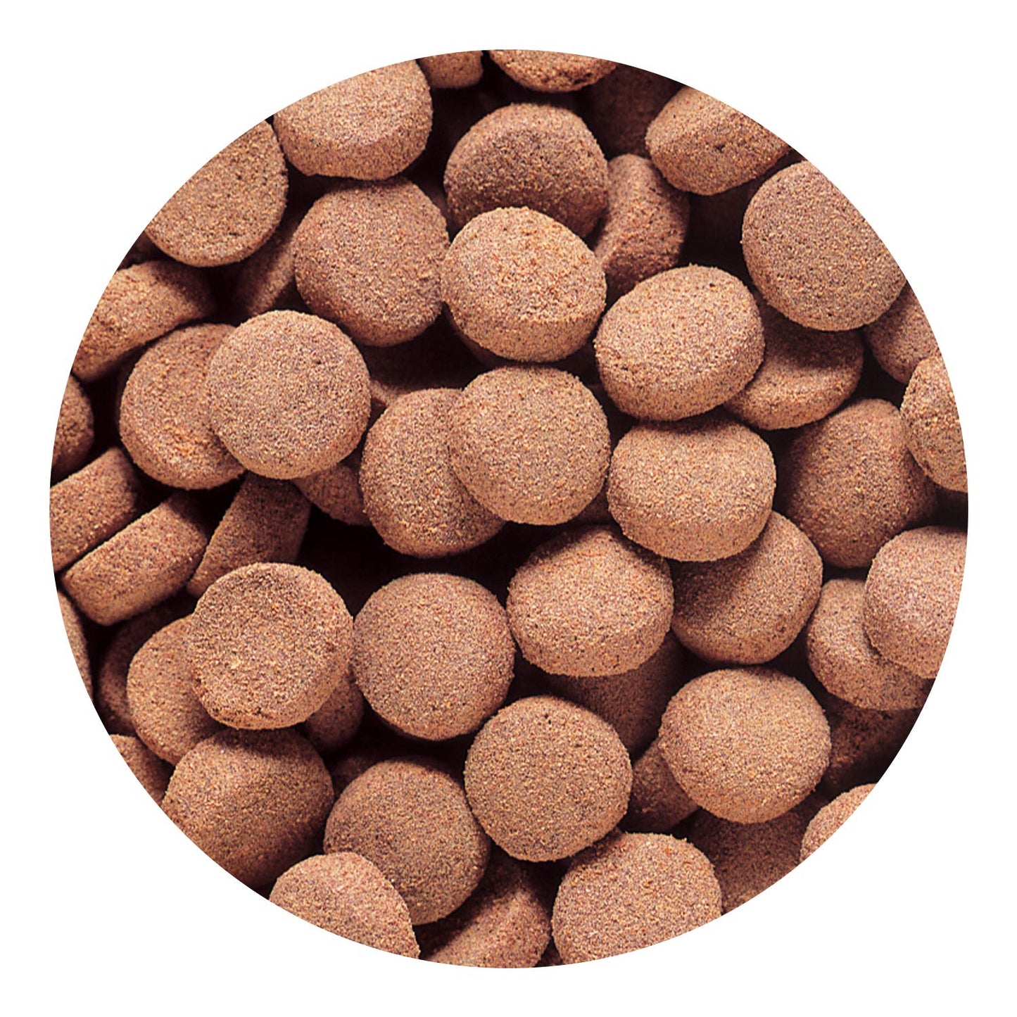 Hikari Tropical Massivore Delite Fish Food, 13.4 oz (380g)