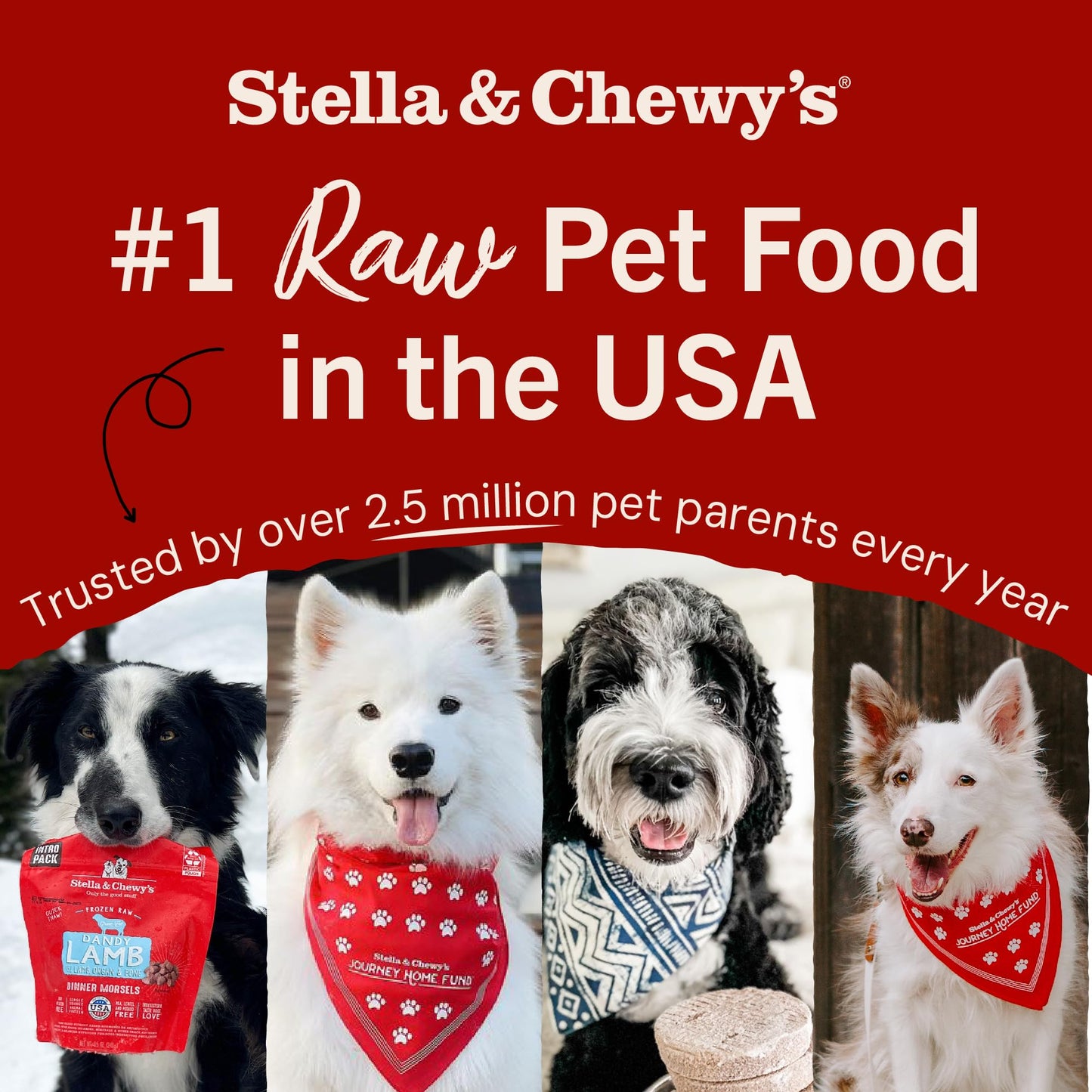 Stella & Chewy's Freeze-Dried Raw Lamb Meal Mixers- Dog Food Topper and Mixer - Made with 95% Grass-Fed Lamb, Organs & Bone - Perfect for Picky Eaters - Grain-Free - 18 oz