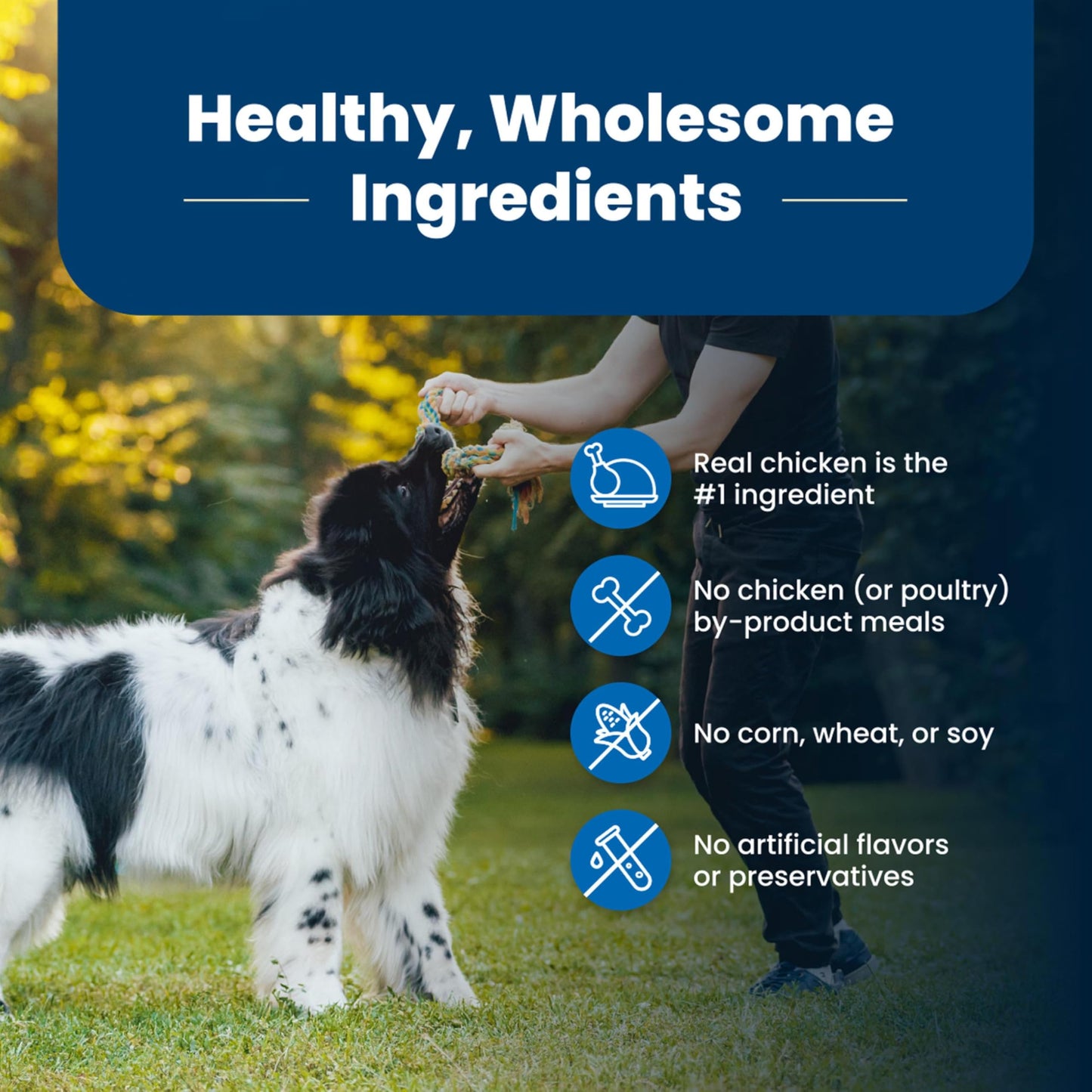Blue Buffalo Life Protection Formula Natural Adult Dry Dog Food, Chicken and Brown Rice 30-lb