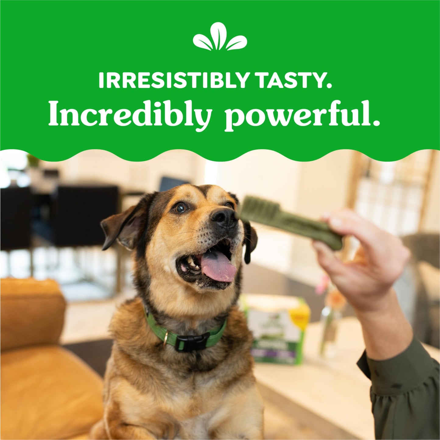 Greenies Original Large Dental Dog Treats, 54 oz. Pack (34 Treats)
