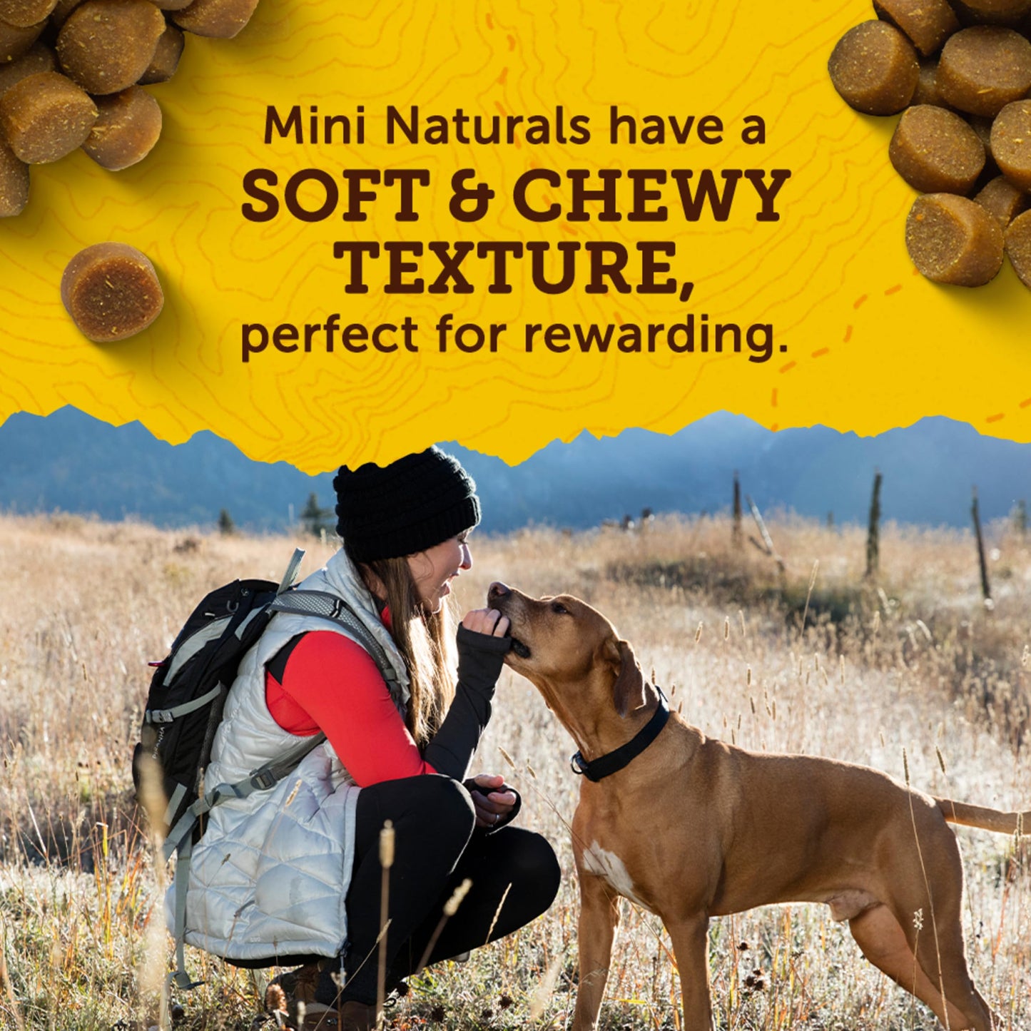 Zuke’s Mini Naturals Dog Training Treats for the Dogs, Pet Treats made with Real Peanut Butter, 16 oz. Resealable Pouch - 16 oz. Bag