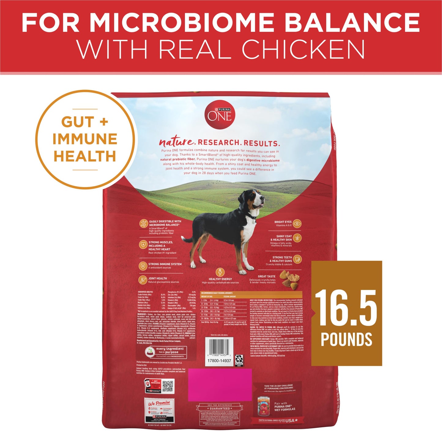 Purina ONE Chicken and Rice Formula Dry Dog Food - 16.5 lb. Bag