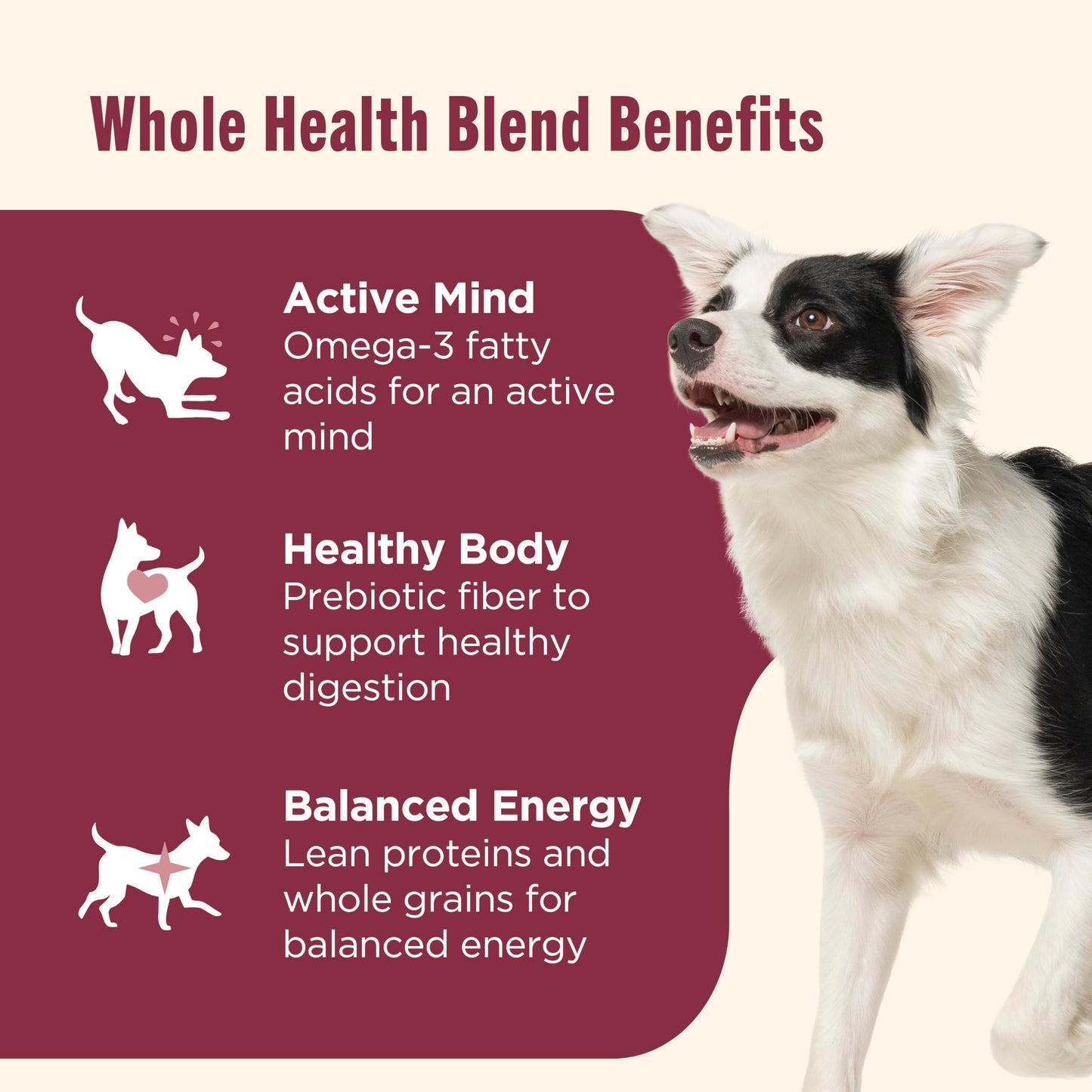 Nutrish Real Salmon, Veggies & Brown Rice Recipe Whole Health Blend Dry Dog Food, 13 lb. Bag, Packaging May Vary (Rachael Ray)