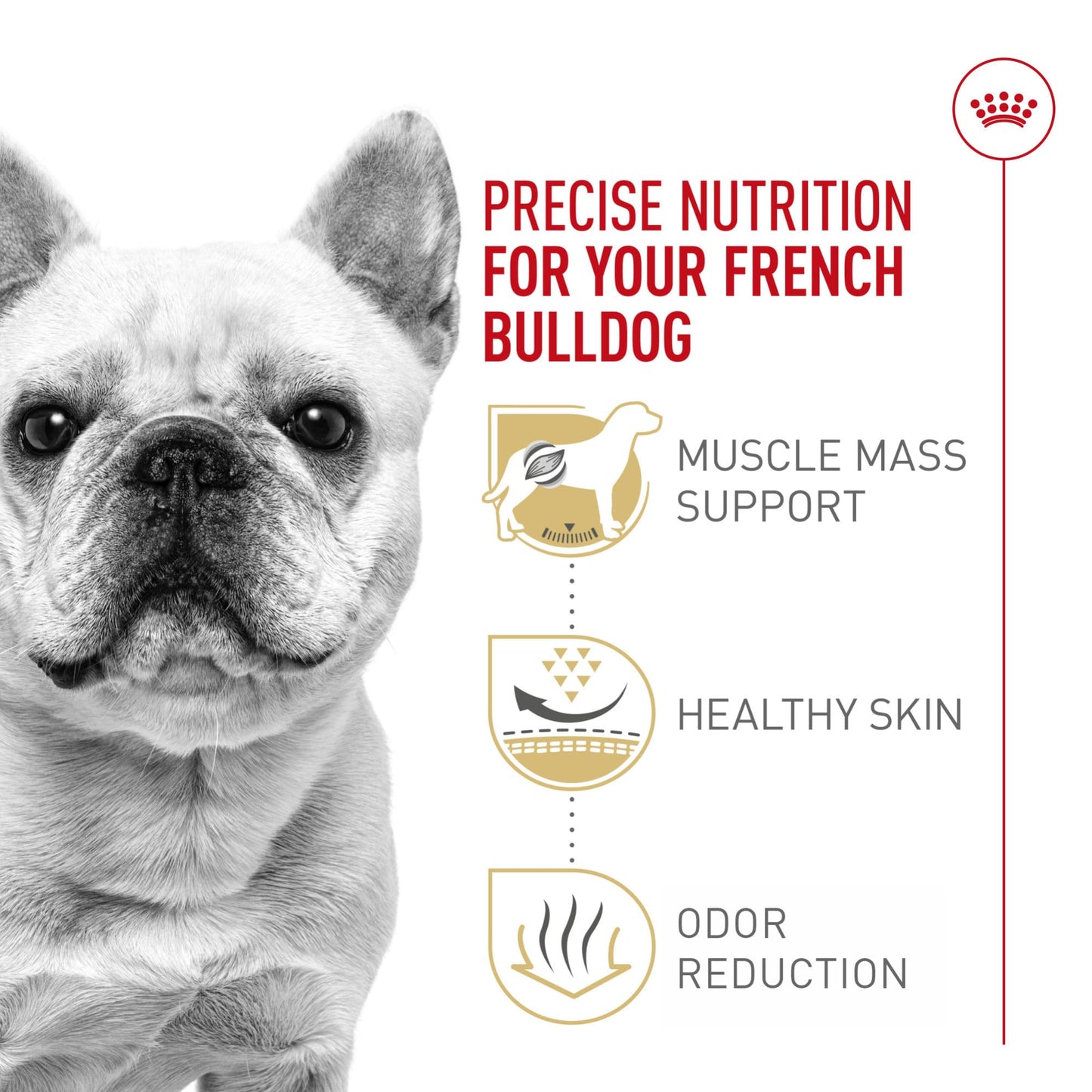 Royal Canin Breed Health Nutrition French Bulldog Adult: Dry Dog Food, 17 lb bag