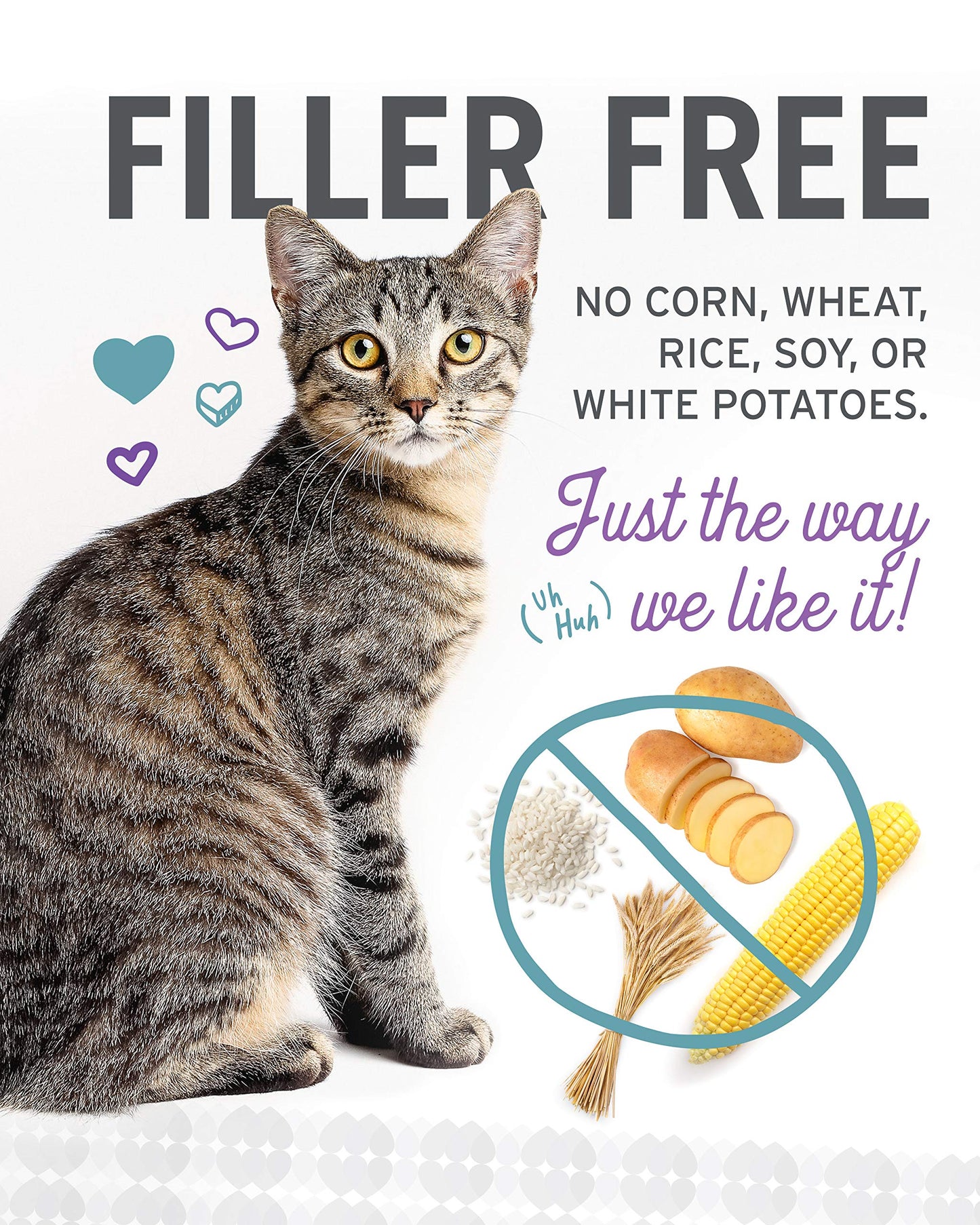 I and love and you Wet Cat Food - Ninja Cat Jiu Jit Stew Variety Pack - Chicken, Salmon, Tuna, Grain Free, Filler Free, 3oz Pack of 12 Cans
