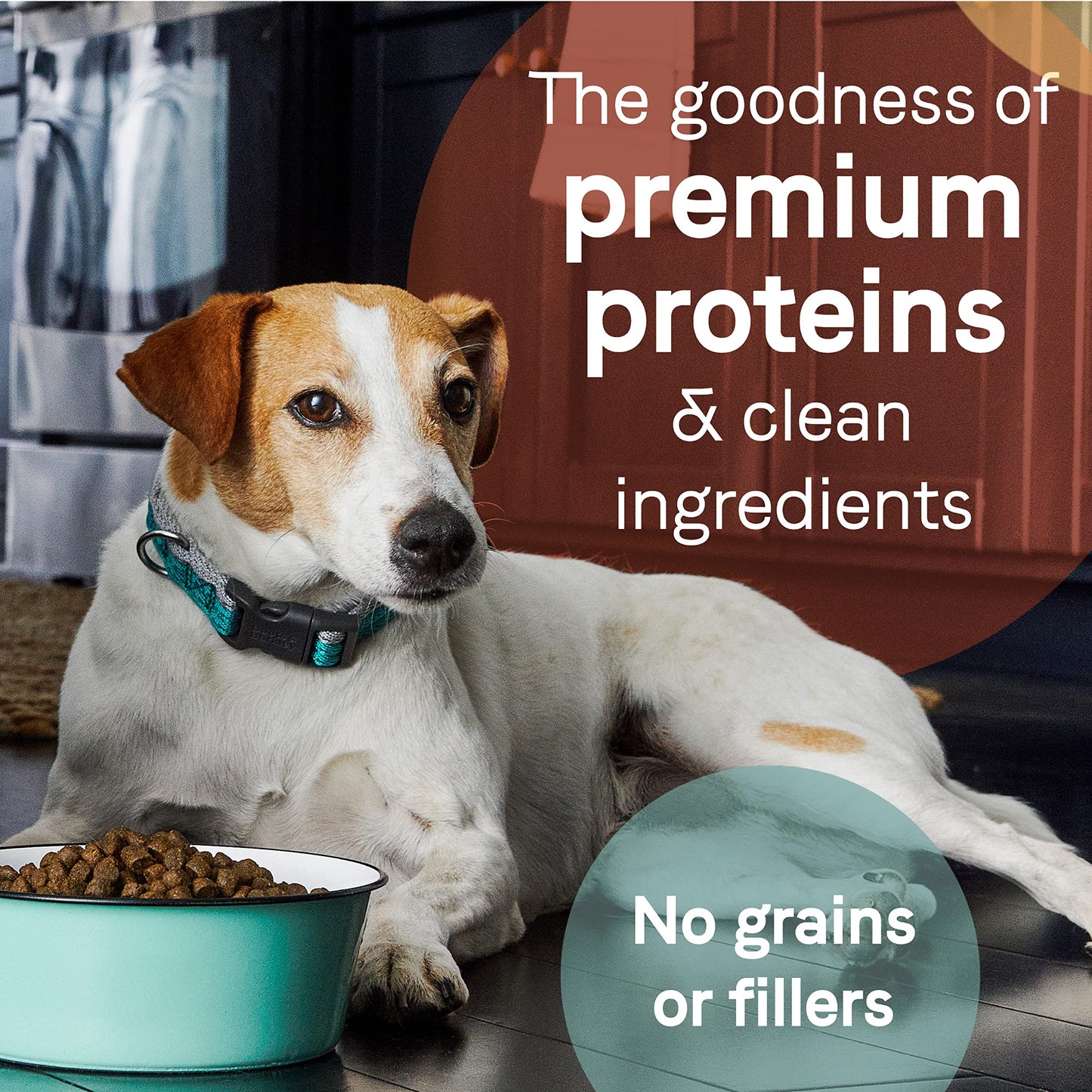 Canidae Pure Limited Ingredient Premium Adult Dry Dog Food, Real Salmon & Sweet Potato Recipe, 22 lbs, Grain Free