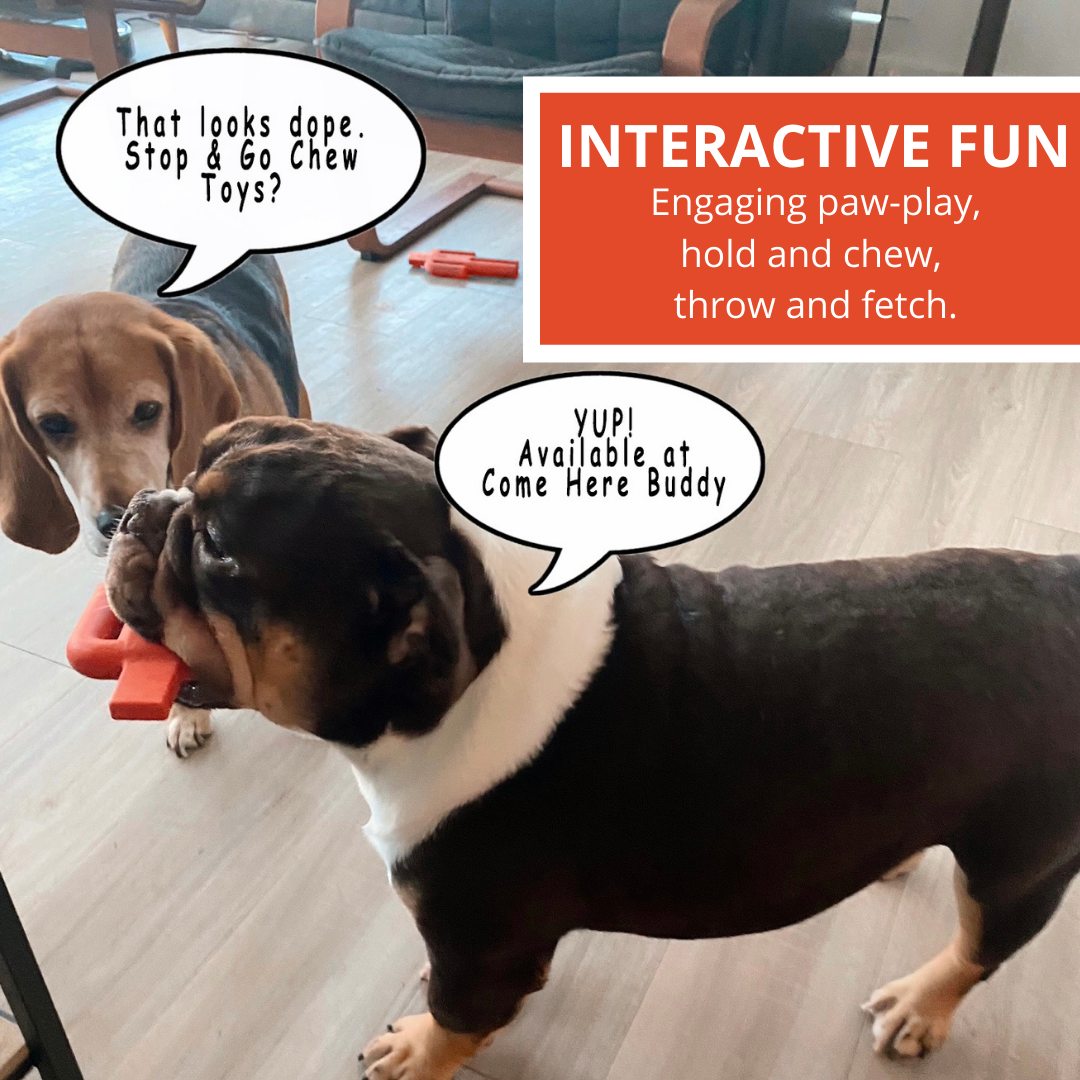 Dog Chew Toy