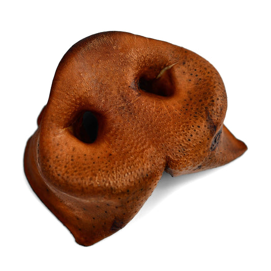 Pork Snouts
