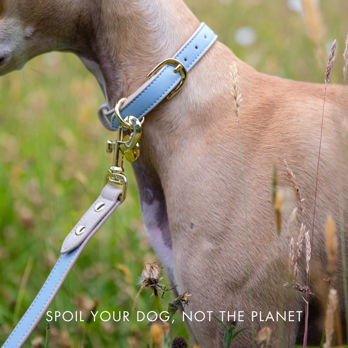 Leash 4ft - Vegan Leather