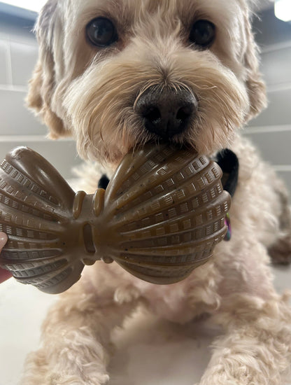 "Ocean Theme" Indestructible Chew Toy- For Tough Chewers