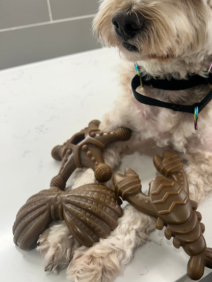 "Ocean Theme" Indestructible Chew Toy- For Tough Chewers