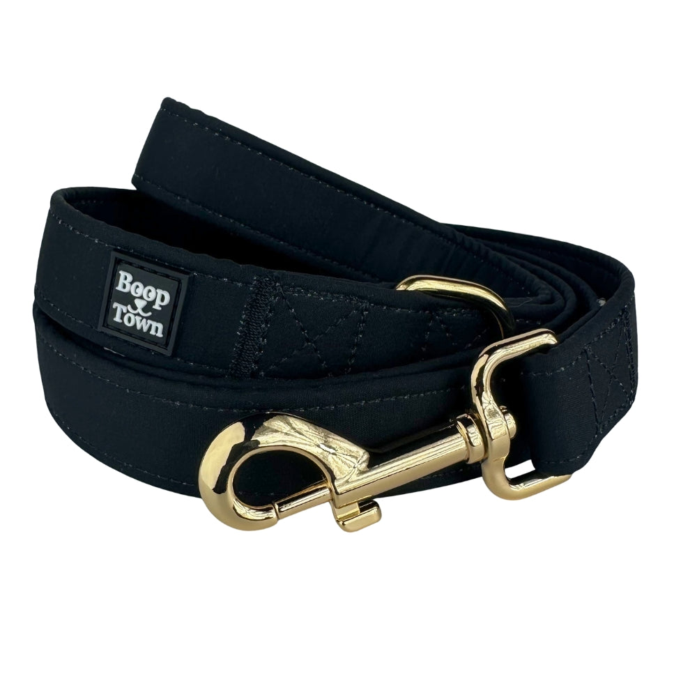 Dog Leashes