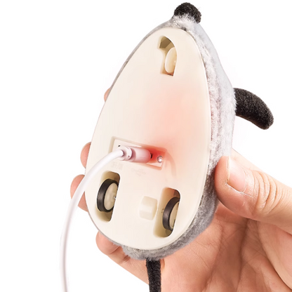 Milou & Lumi Interactive Remote Control Pet Teaser Mouse Toy