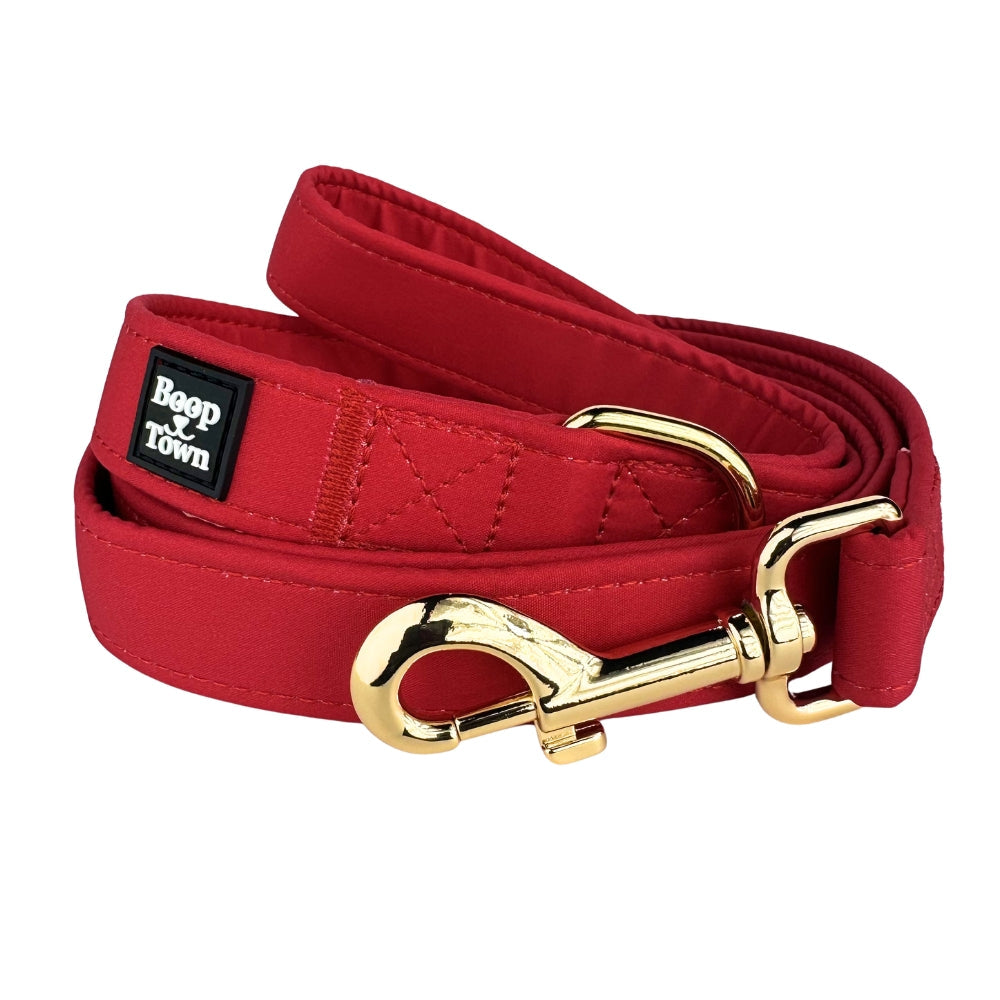 Dog Leashes
