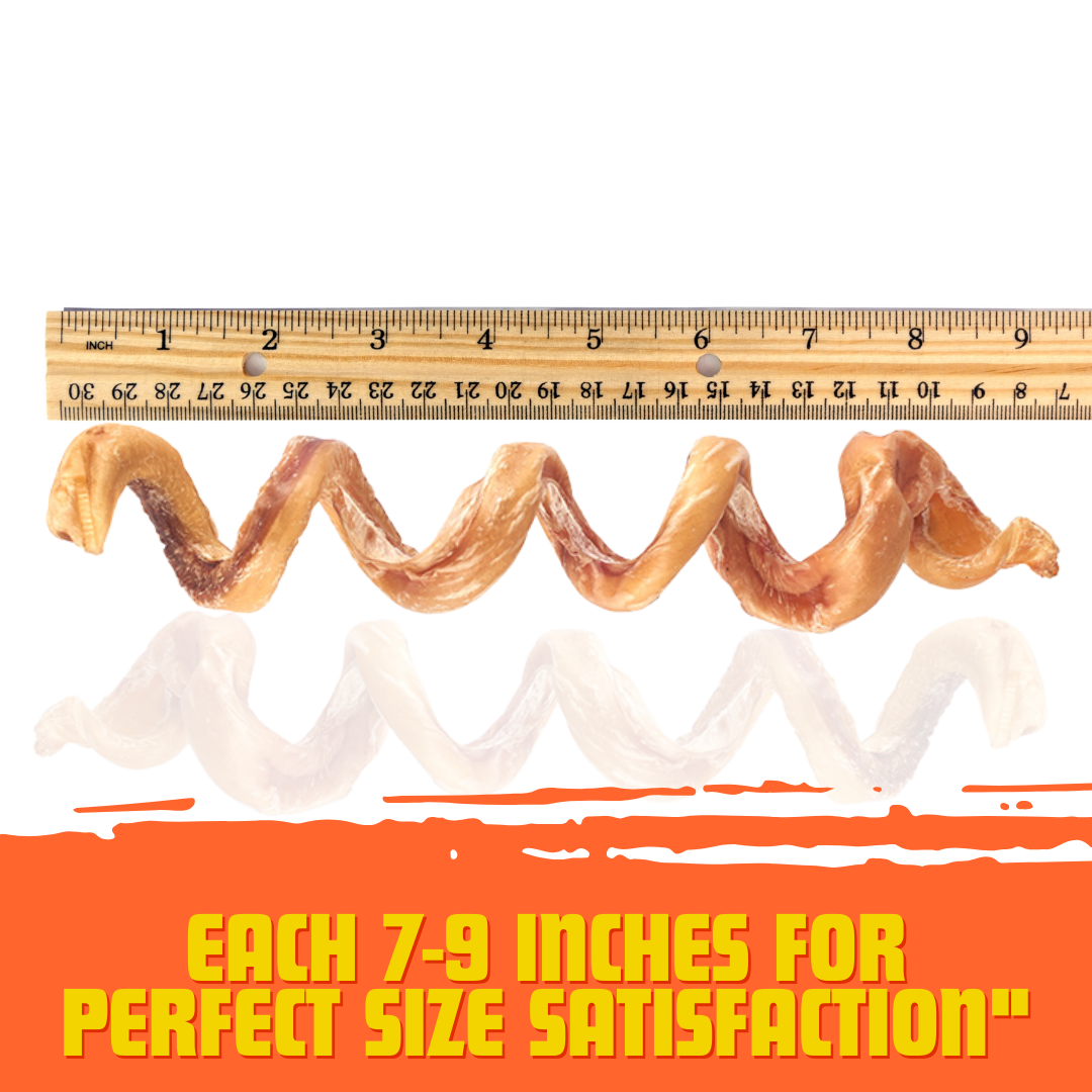 7"-9" Premium Bully Stick Springs for Dogs