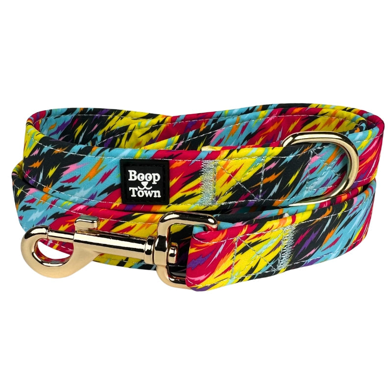 Dog Leashes