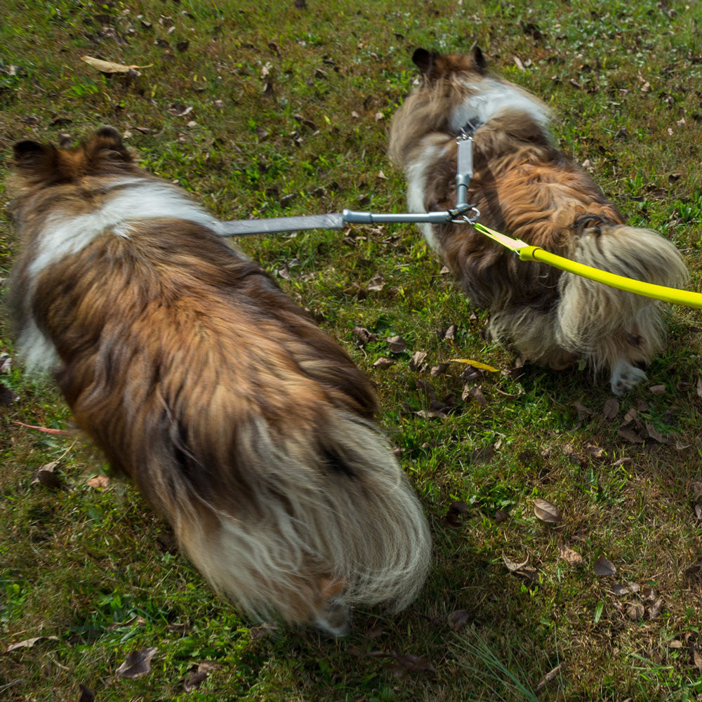 2 Dogs on 1 Leash - CRAZYcoupl'r