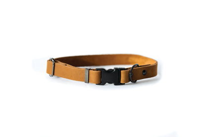 Sport Style Earth Brown Leather Dog Collar