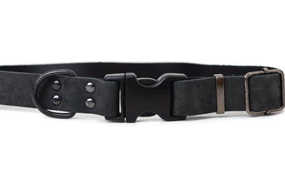 Sport Style Leather Dog Collar