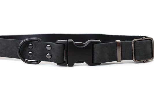 Sport Style Leather Dog Collar