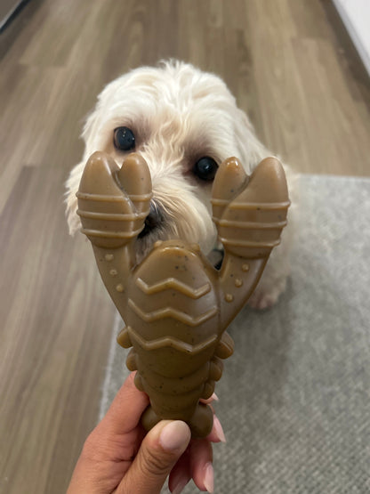 "Ocean Theme" Indestructible Chew Toy- For Tough Chewers