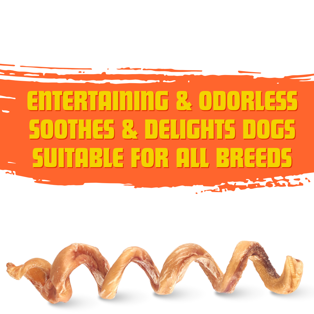 7"-9" Premium Bully Stick Springs for Dogs