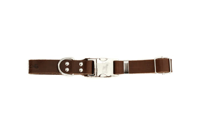 Modern Style Quick-Release Leather Dog Collar