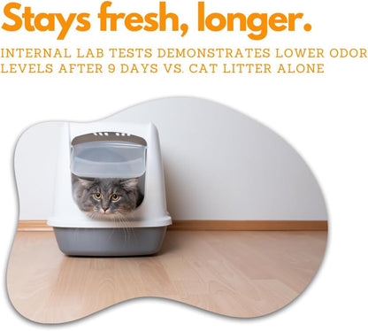 Arm & Hammer Cat Litter Deodorizer with Baking Soda 20.00 oz - Pack of 2 (40 oz in total) Litter Box Deodorizer Bundled with LarasBundle Catnip Mice and Spring Toy