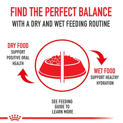 Royal Canin Size Health Nutrition Medium Adult Dry Dog Food, 30 lb bag