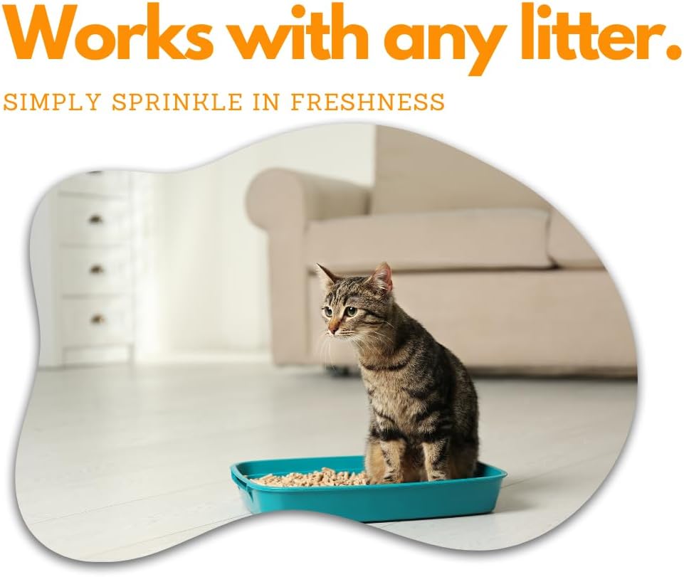 Arm & Hammer Cat Litter Deodorizer with Baking Soda 20.00 oz - Pack of 2 (40 oz in total) Litter Box Deodorizer Bundled with LarasBundle Catnip Mice and Spring Toy