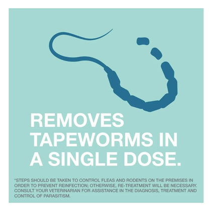 Elanco Tapeworm Dewormer (praziquantel tablets) for Cats and Kittens 6 Weeks and Older, 3-count