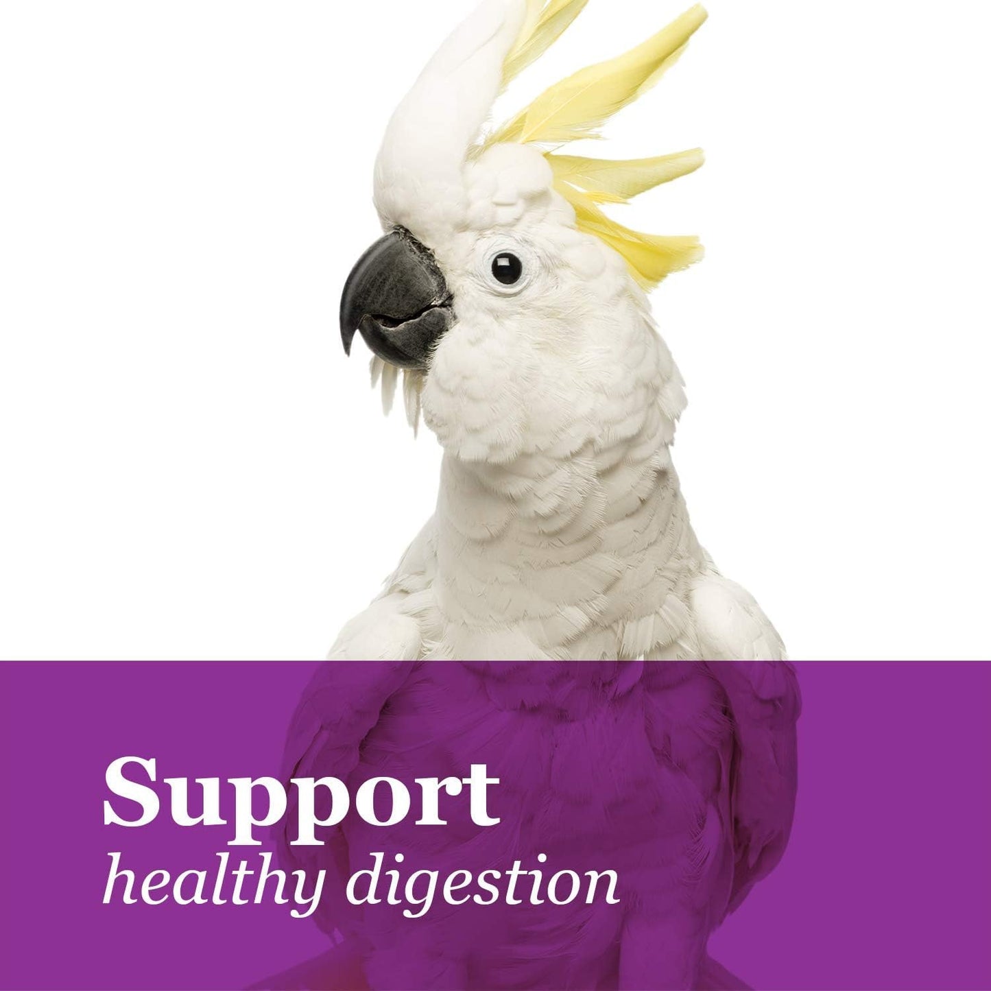 F.M. Brown's Tropical Carnival, Gourmet Macaw Food Big Bites for Big Beaks, Vitamin-Nutrient Fortified Daily Diet with Probiotics for Digestive Health, 5 lb