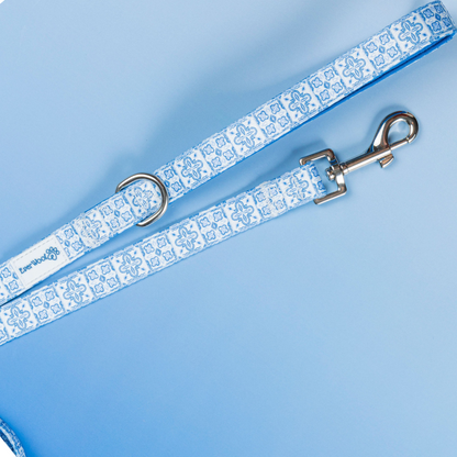Santorini Leash