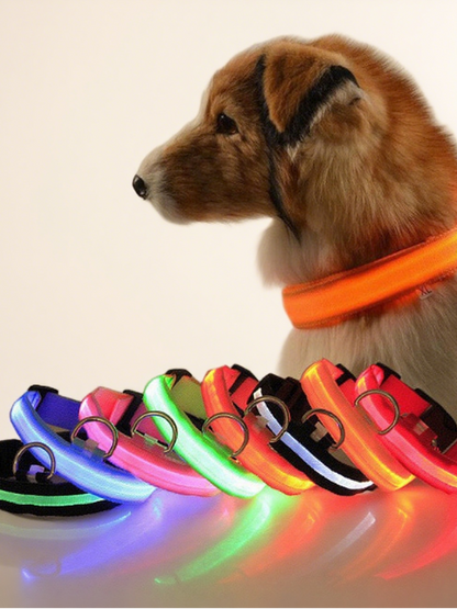 Milou & Lumi LED Glowing Pet Collar - Rainbow