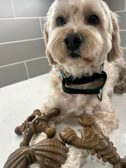 "Ocean Theme" Indestructible Chew Toy- For Tough Chewers