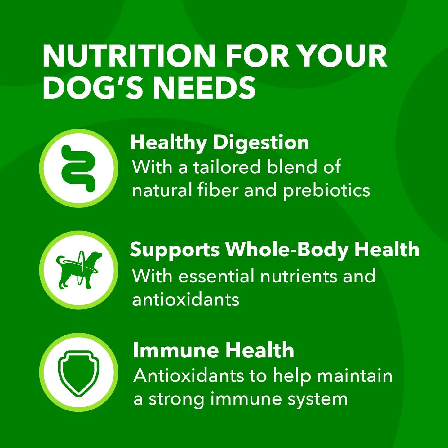 IAMS Proactive Health Minichunks Adult Dry Dog Food with Lamb & Rice, 30 lb. Bag