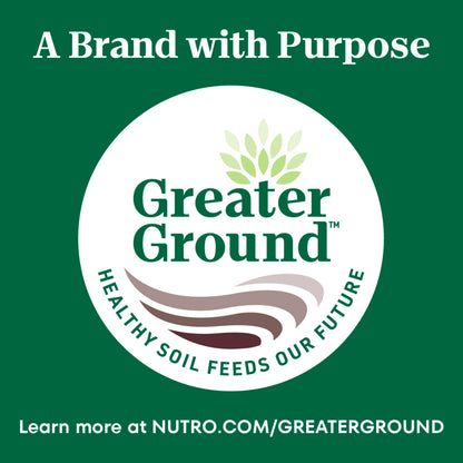 Nutro Wholesome Essentials Indoor Dry Cat Food, Chicken & Brown Rice Recipe, 14 lb. Bag