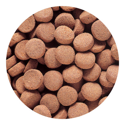 Hikari Tropical Massivore Delite Fish Food, 13.4 oz (380g)