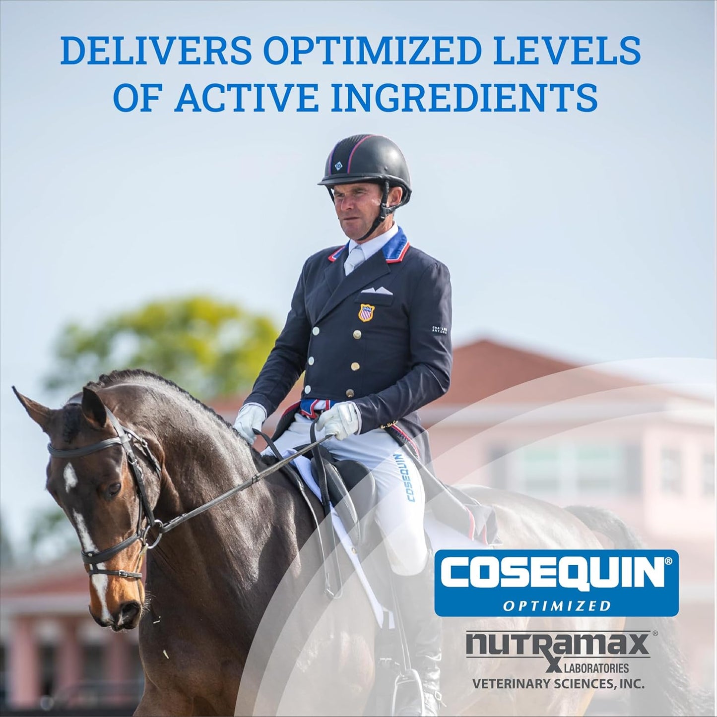 Nutramax Cosequin Optimized with MSM Joint Health Supplement for Horses - Powder with Glucosamine and Chondroitin, 1400 Grams