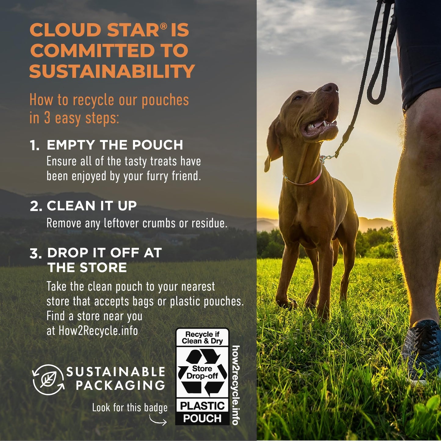 Cloud Star Tricky Trainers Soft & Chewy Dog Training Treats 5 oz. Bag, Peanut Butter Flavor, Grain-Free Low Calorie Behavior Aid with 130 treats