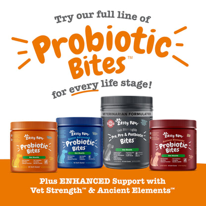 Zesty Paws Probiotics for Dogs, Digestive Enzymes Gut Flora, Digestive Health, Diarrhea & Bowel Support, DE111, Dog Probiotics Soft Chew for Pet Immune System, Chicken, 90 Ct