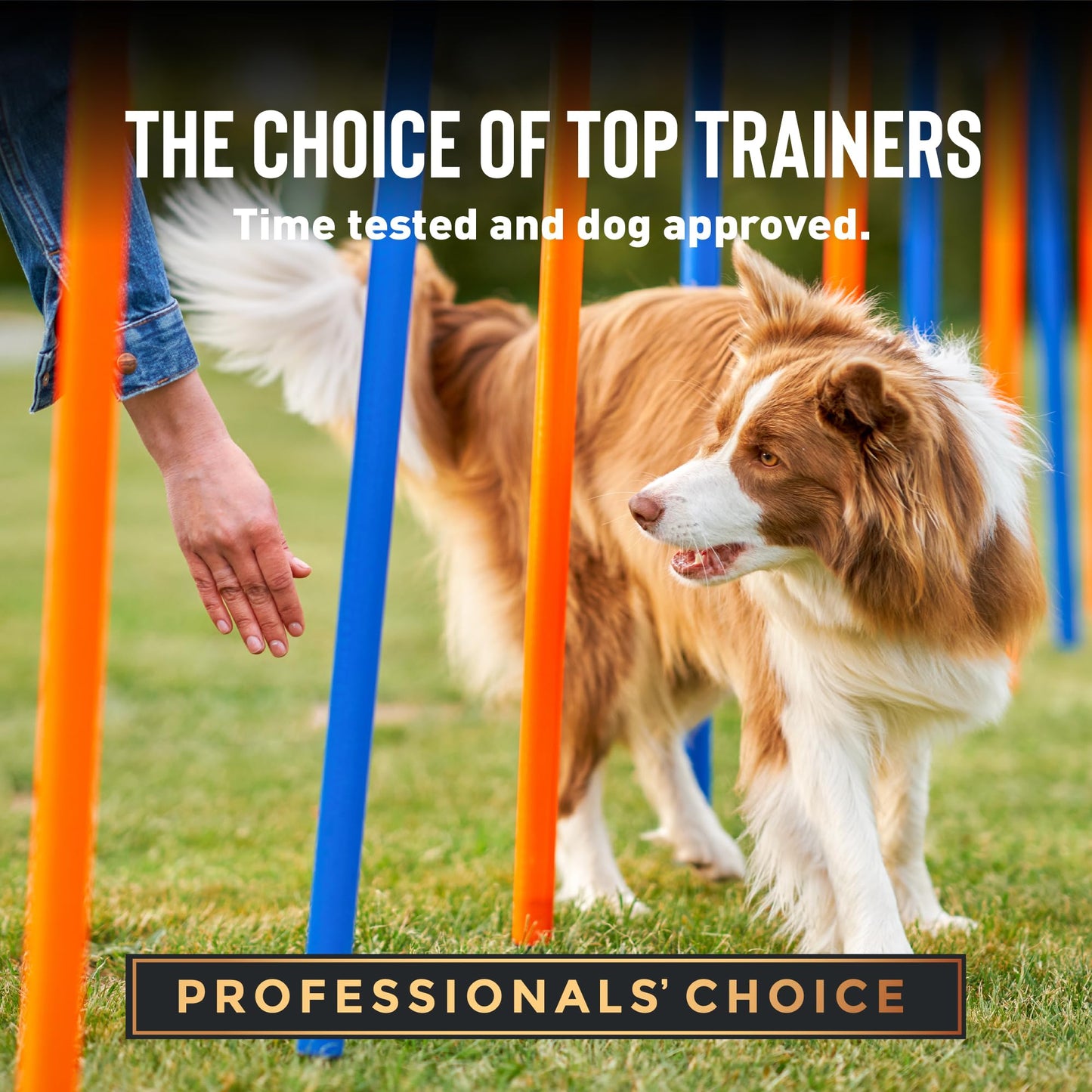 Cloud Star Tricky Trainers Soft & Chewy Dog Training Treats 5 oz. Bag, Peanut Butter Flavor, Grain-Free Low Calorie Behavior Aid with 130 treats