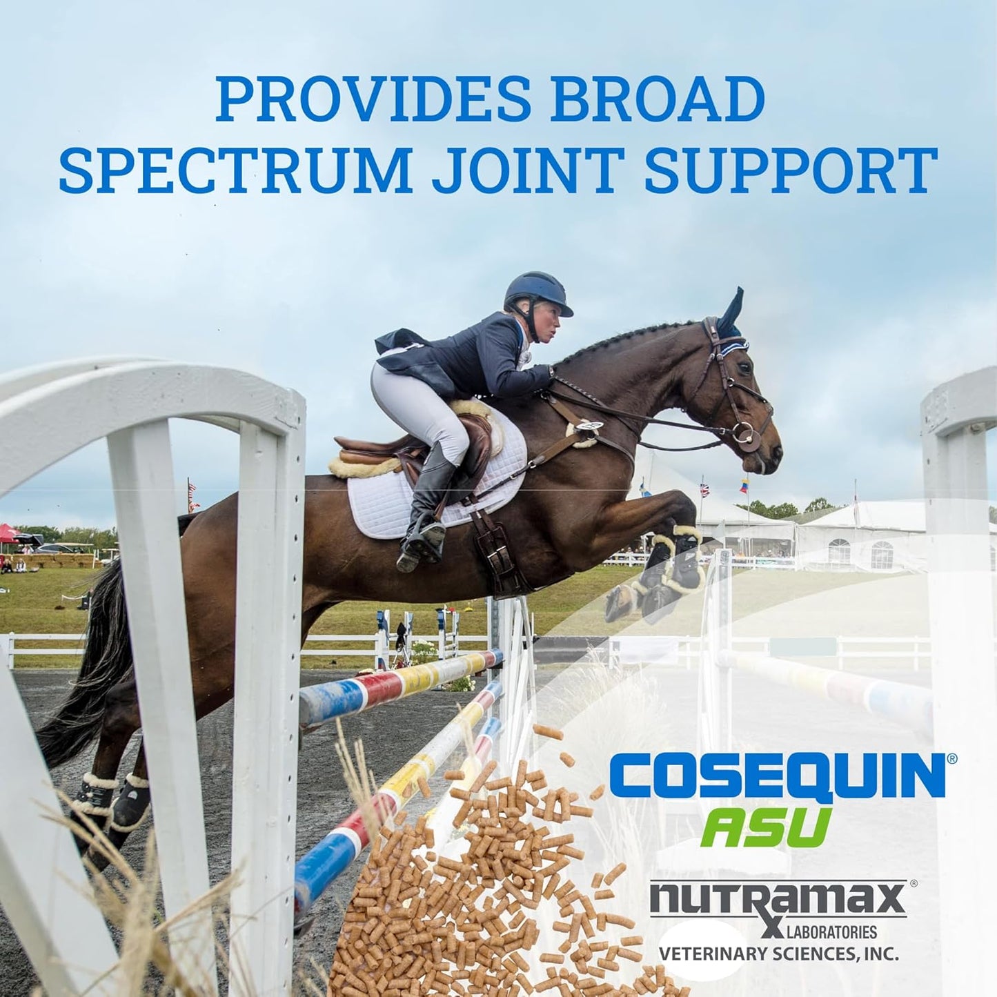 Nutramax Cosequin ASU Pellets Joint Health Supplement for Horses - Pellets with Glucosamine and Chondroitin, 1420 Grams